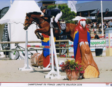 EN SELLE EPERNAY photo