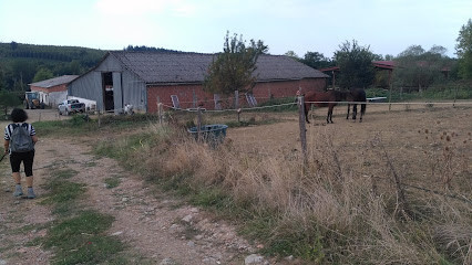 Equi Punch photo