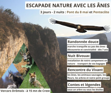 Escapade Nature avec les Ânes - Randoâne itinérante 3 jours photo