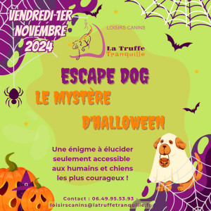 Escape dog " le mystère d'Halloween " photo