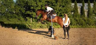 ESPACE EQUESTRE DE MAZEROLLES photo