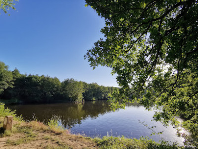 Étang de Cernay photo