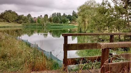 Étang de Condé-sur-Vesgre photo