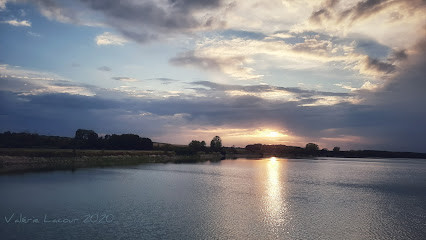 Étang de Gondrexange photo