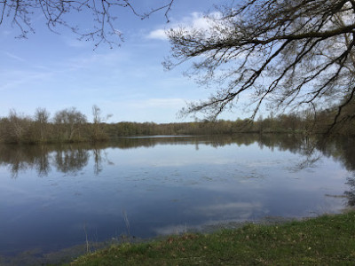 Étang de la Clarette photo