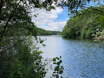 Étang de la Minière photo