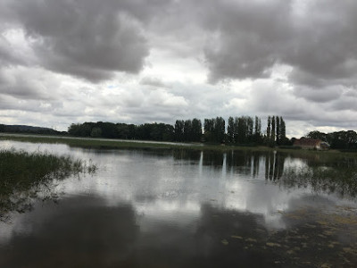 Étang de Marcenay photo