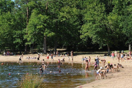 Étang des Bois photo