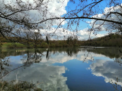Étang des Goizenières photo
