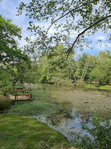 Étang du Bois de Boulogne photo