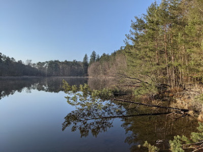 Étang du Lieschbach photo