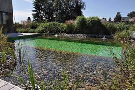 Etang Du Pere Eugene photo