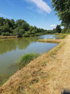 Etangs de Brouennes photo