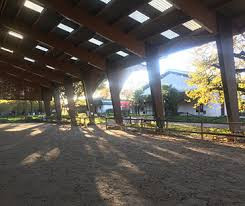 Eurl Ecole d'Equitation de Reding photo