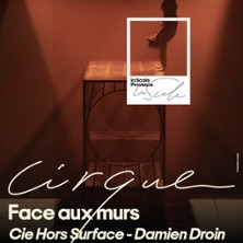 Face aux Murs - La Scala Provence, Avignon photo