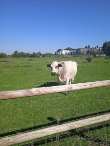 Farm Pédagogique De Lomme photo