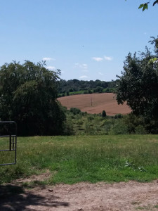 Ferme de la Croix Blanche photo