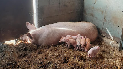 Ferme des Bruyères Gaec photo