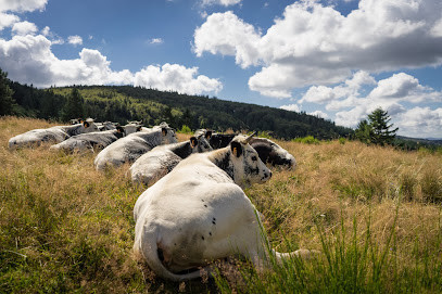 Ferme des Fougères photo