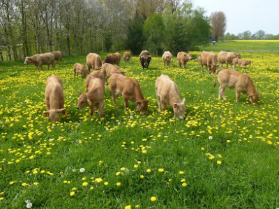 Ferme du Petit Bois photo