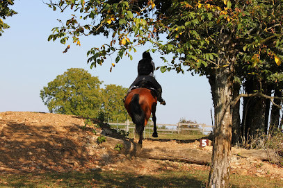 Ferme Equestre Cavalibre photo