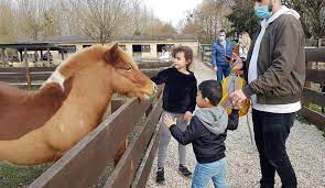Ferme pédagogique de la béchère photo