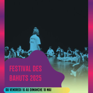 FESTIVAL DES BAHUTS photo