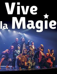 Festival International Vive la Magie photo