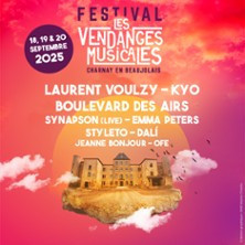 Festival Les Vendanges Musciales photo