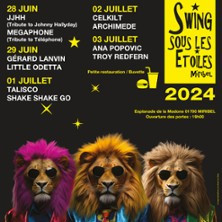 Festival Swing sous les Etoiles 2024 photo