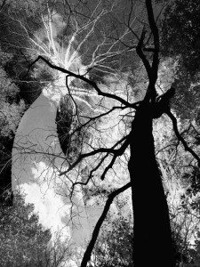 FINISSAGE Moïse SADOUN – Bipolarités photo