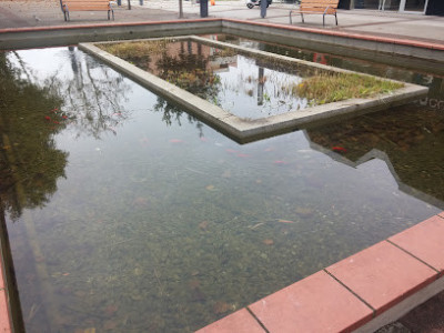 Fontaine de la place des Marronniers photo