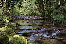 Fontaine Noire photo