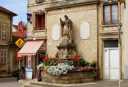 Fontaine Saint-Pierre-Fourier. photo