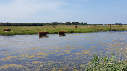 Foraines de Saint-Firmin photo