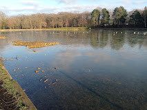Forêt de Montgeon photo
