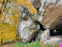 Foret De Saint Gobain photo