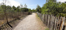 Forêt Dunaire José Zabala photo