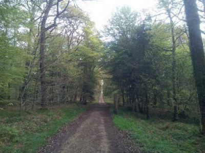 Forêt : Parcours De Santé photo