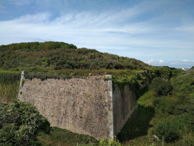 Fort Île de Houat photo
