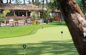 Golf Cap Ferret photo