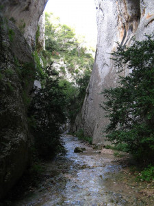 Gorges de Régalon photo