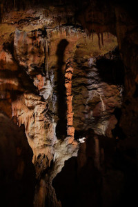 Grotte du Bosc photo