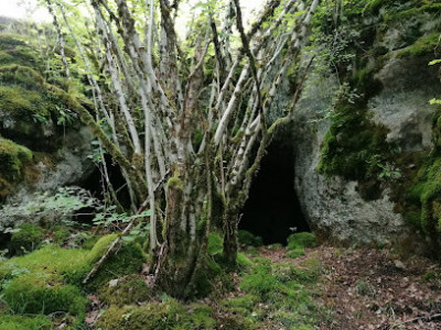 Grotte du Curé photo