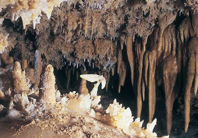 Grotte du Grand Roc photo