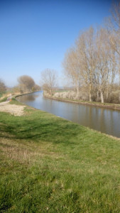 Halte fluvial de Lupstein le canal photo