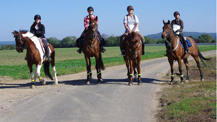 Haras De La Chapelle photo