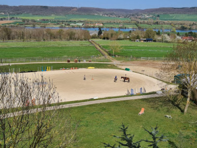 HARAS DE L'ILE photo