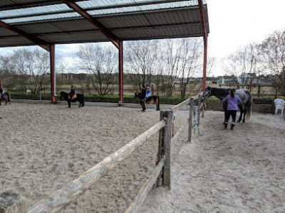 Haras des châteaux photo