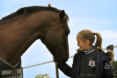 HARAS des Ô (Equifree) photo